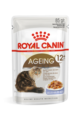 ROYAL CANIN Ageing +12 Cat 12x85g konservas (padažas)
