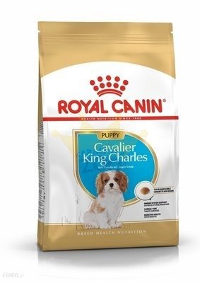 ROYAL CANIN Cavalier King Charles Spaniel Puppy 1,5 kg + STAIGMENA ŠUNUI