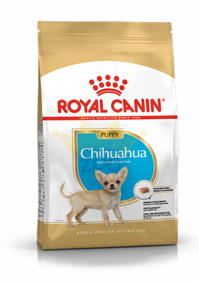 ROYAL CANIN Chihuahua Junior 1,5kg  + STAIGMENA ŠUNUI