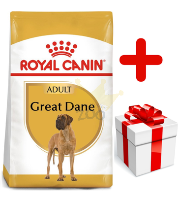ROYAL CANIN Great Dane Adult 12kg sausas ėdalas suaugusiems vokiečių šunims + STAIGMENA ŠUNUI