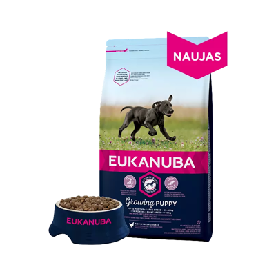 EUKANUBA Puppy&Junior Large Breed 15kg + LAB V Vitaminų praturtintas lašišų aliejus 250ml  5% PIGIAU