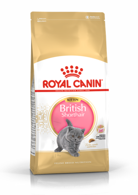 ROYAL CANIN British Shorthair Kitten 2kg sausas ėdalas kačiukams iki 12 mėnesių, britų trumpaplaukių veislė