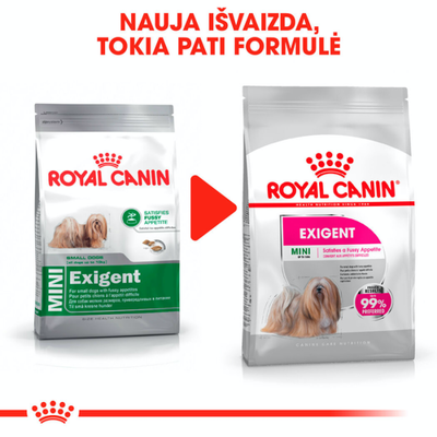 ROYAL CANIN CCN Mini Exigent sausas ėdalas suaugusiems mažų veislių šunims, išrankiems 3kg