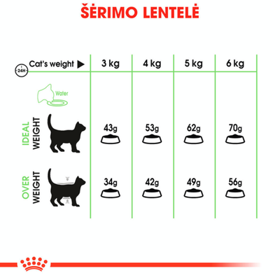 ROYAL CANIN Digestive Care 4kg sausas ėdalas suaugusioms katėms, skirtas virškinimui palaikyti