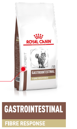 ROYAL CANIN Fibre Response Gastrointestinal FR 31 4kg + NEMOKAMAS DOVOŽIMAS!!!