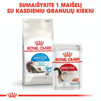 ROYAL CANIN Indoor Long Hair 10kg + STAIGMENA KATEI