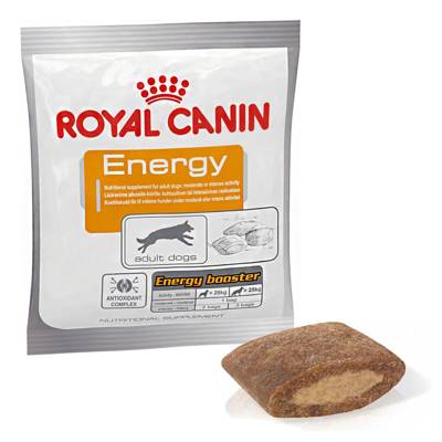 ROYAL CANIN Maisto papildas Energy 50g sveikas skanėstas suaugusiems, aktyviems šunims 