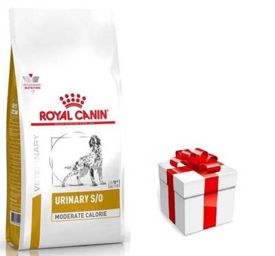 ROYAL CANIN Urinary S/O Moderate Calorie UMC 20 12kg + STAIGMENA ŠUNUI