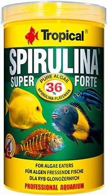 TROPICAL Super Spirulina Forte 250ml