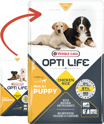 VERSELE-LAGA Opti Life Puppy Maxi 1kg