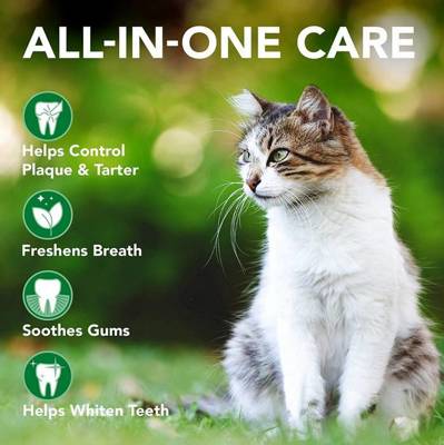 "Vet's Best" rinkinys kasdienei katės dantų priežiūrai